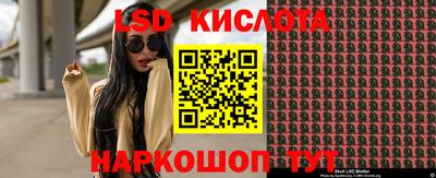 Альфа ПВП Владикавказ