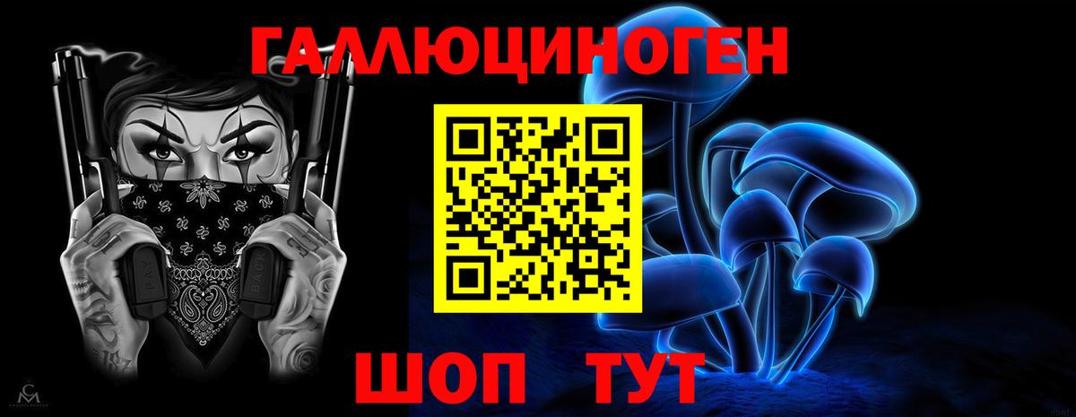 Реж  Псилоцибиновые грибы Psilocybine cubensis  Вход с VPN 