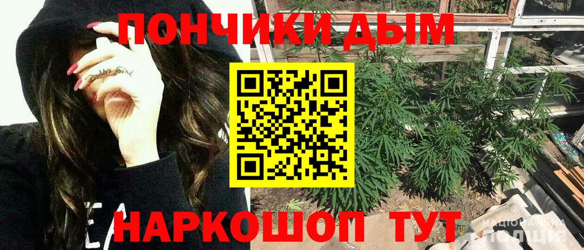 МАРИХУАНА сатива Реж